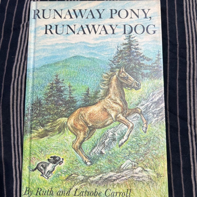 Runaway Pony, Runaway Dog  