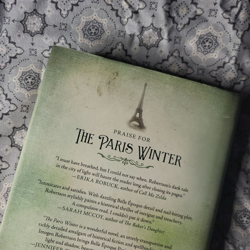 The Paris Winter