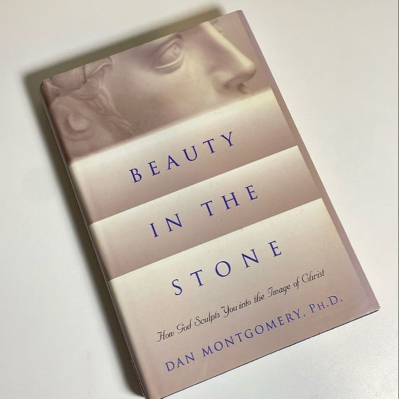 Beauty in the Stone