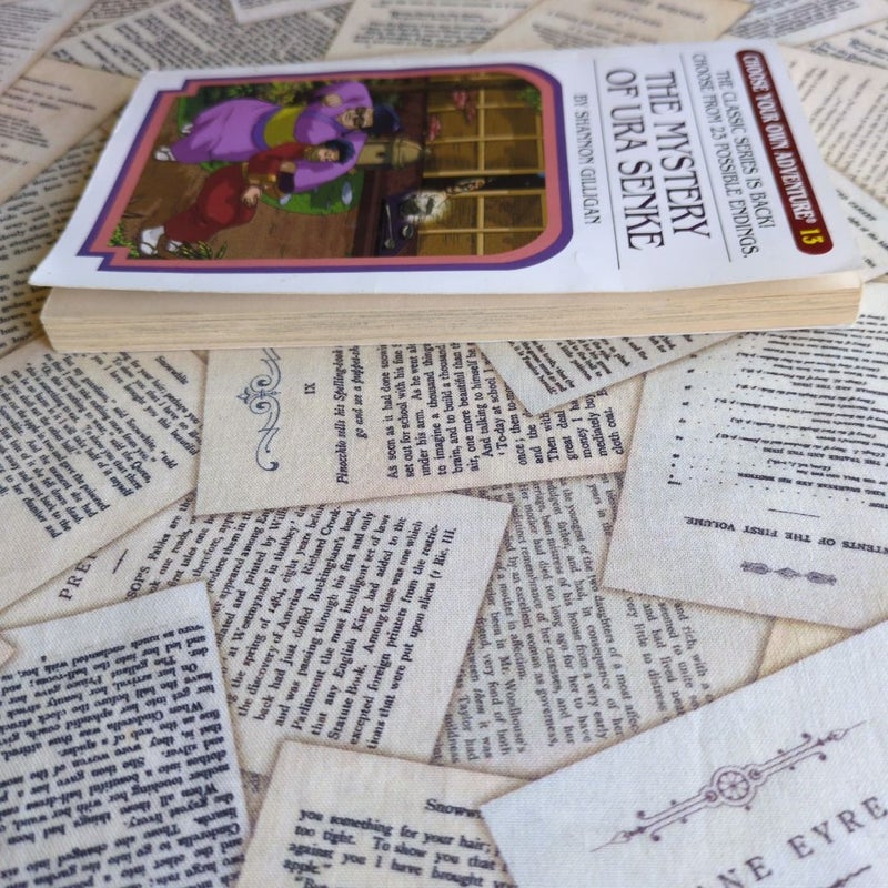 Choose Your Own Adventure #13: The Mystery of Ura Senke