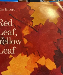 Red Leaf, Yellow Leaf 