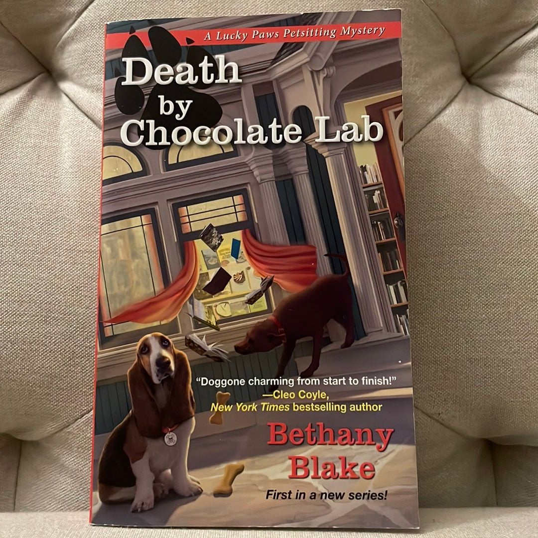 Death by Chocolate Lab