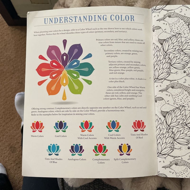 Living Wonders Color Art for Everyone by Leisure Arts, Paperback