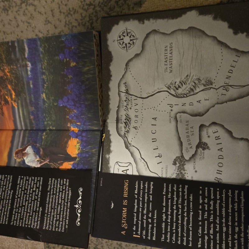 Signed bookish box young adult fantasy this dark descent the storm crow