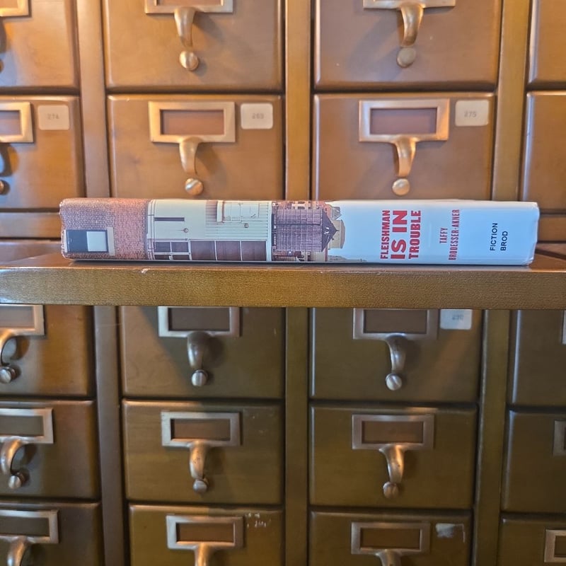 Fleishman Is in Trouble