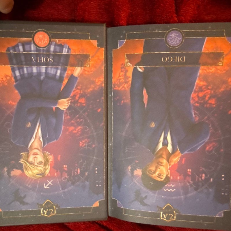 Zodiac Academy Bookish Box 1-4