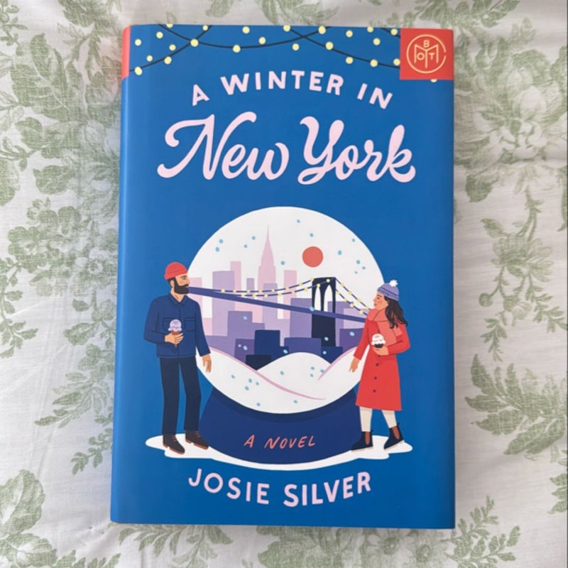 A Winter in New York