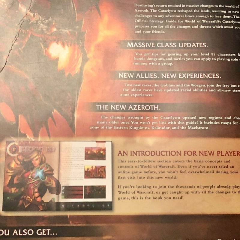 World of WARCRAFT: Cataclysm edition 2010 Gaming retro vintage book