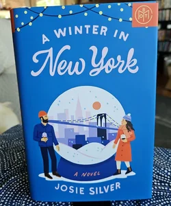 A Winter in New York