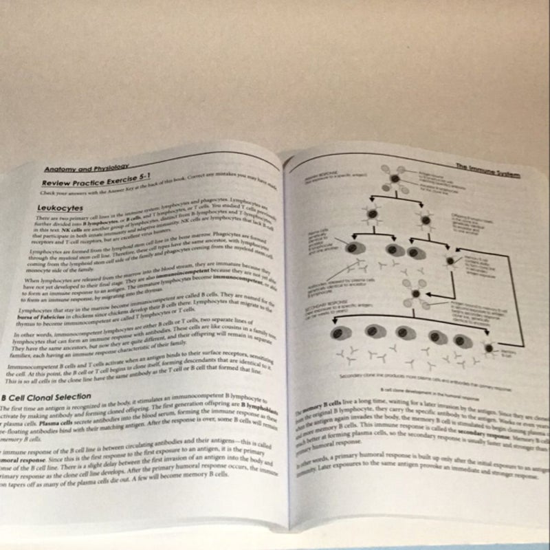 Anatomy and Physiology Step by Step