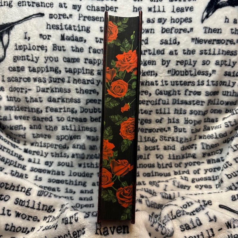 Cruel Illusions: Fairyloot Edition (slight damage, see all photos)