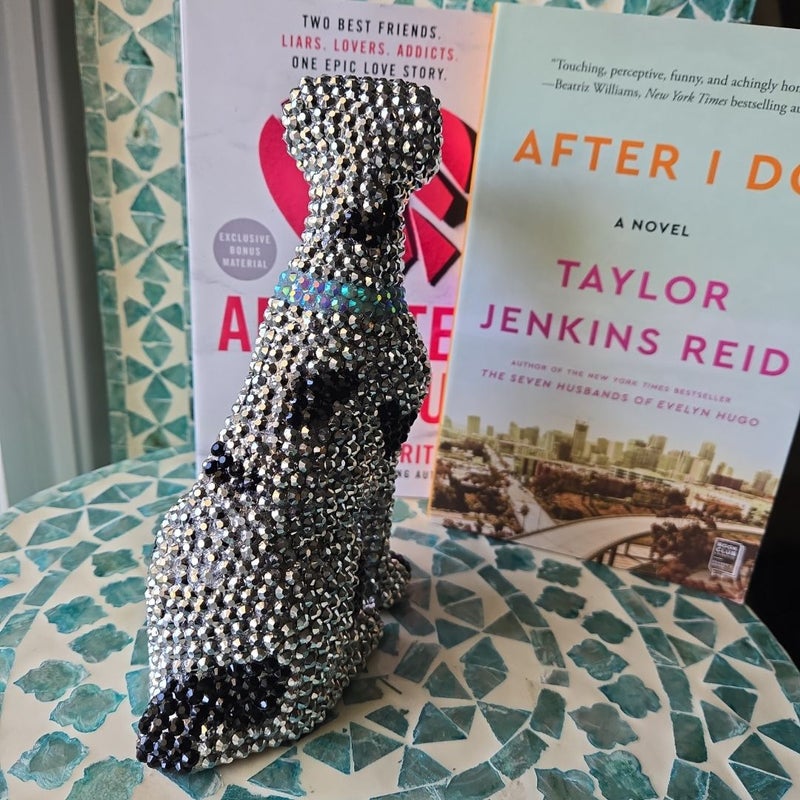 Bling bling Dalmatian! Bookcase accessory
