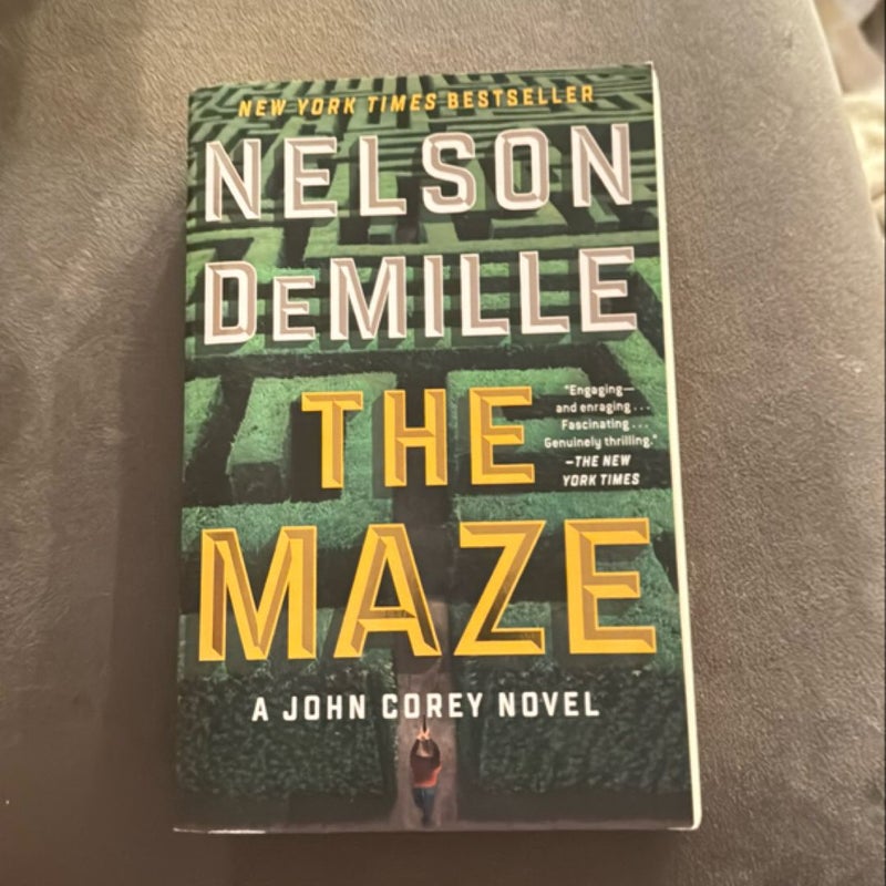 The Maze