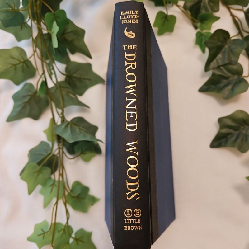 The Drowned Woods (NEW)