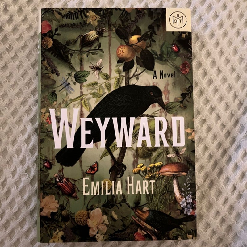 Weyward