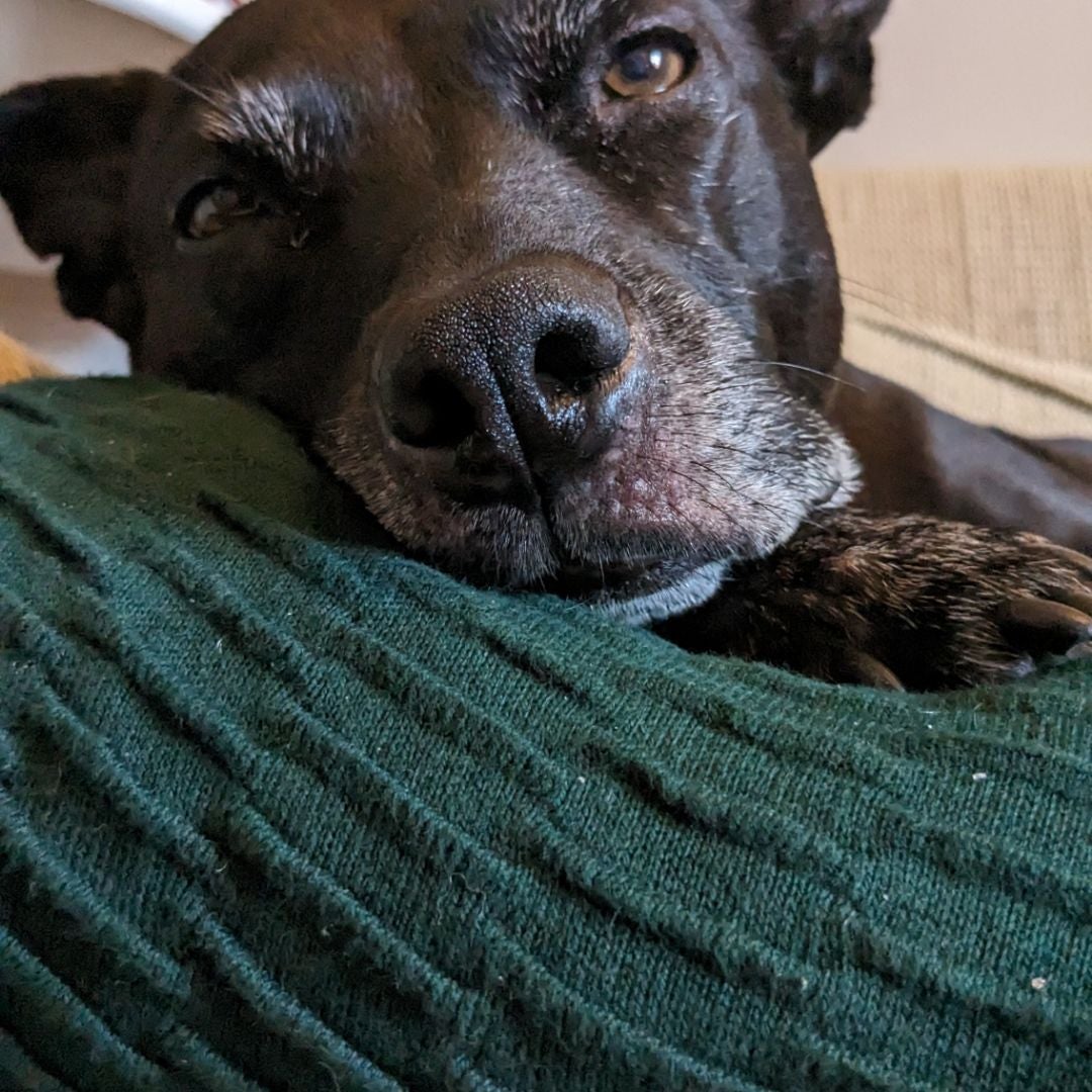 Maya