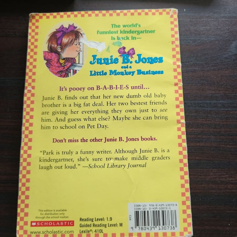 Junie B. Jones Book Bundle/Kids Book Bundle