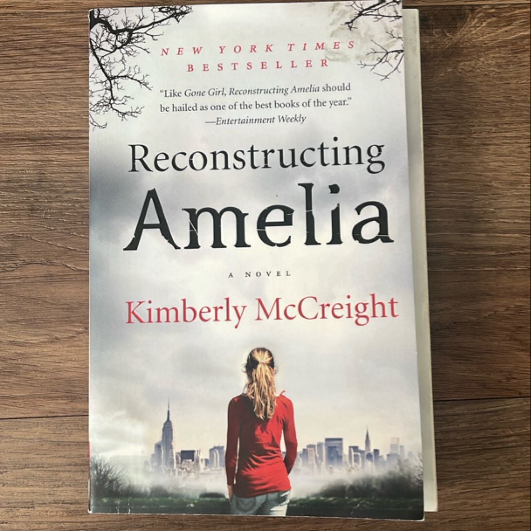 Reconstructing Amelia