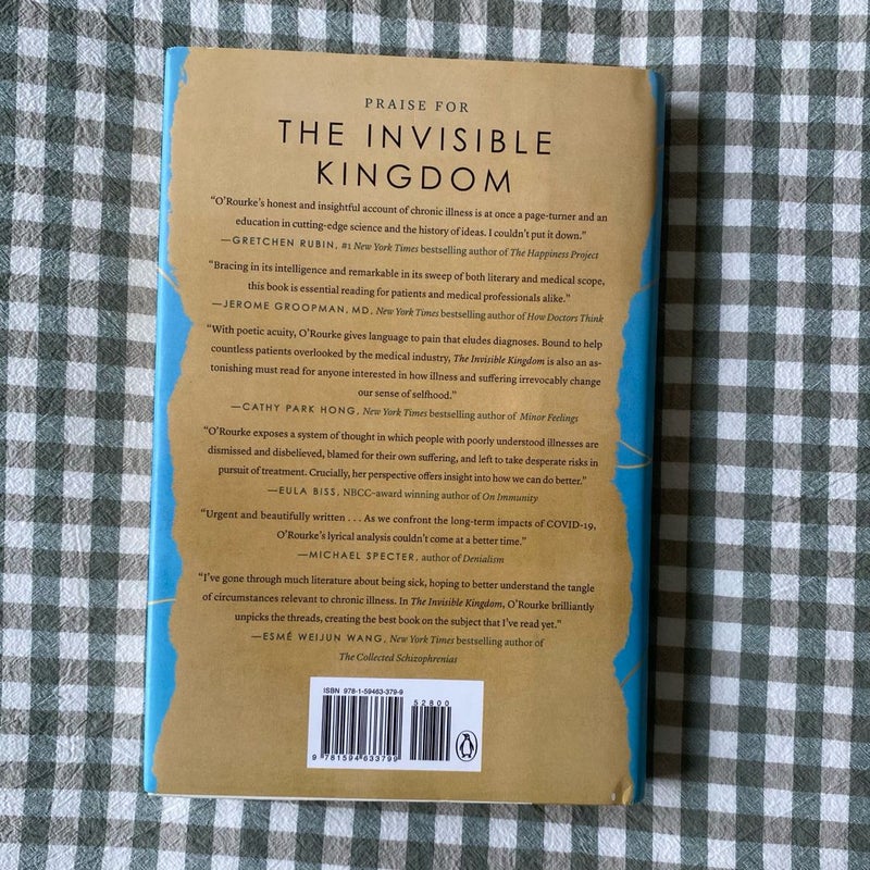 The Invisible Kingdom