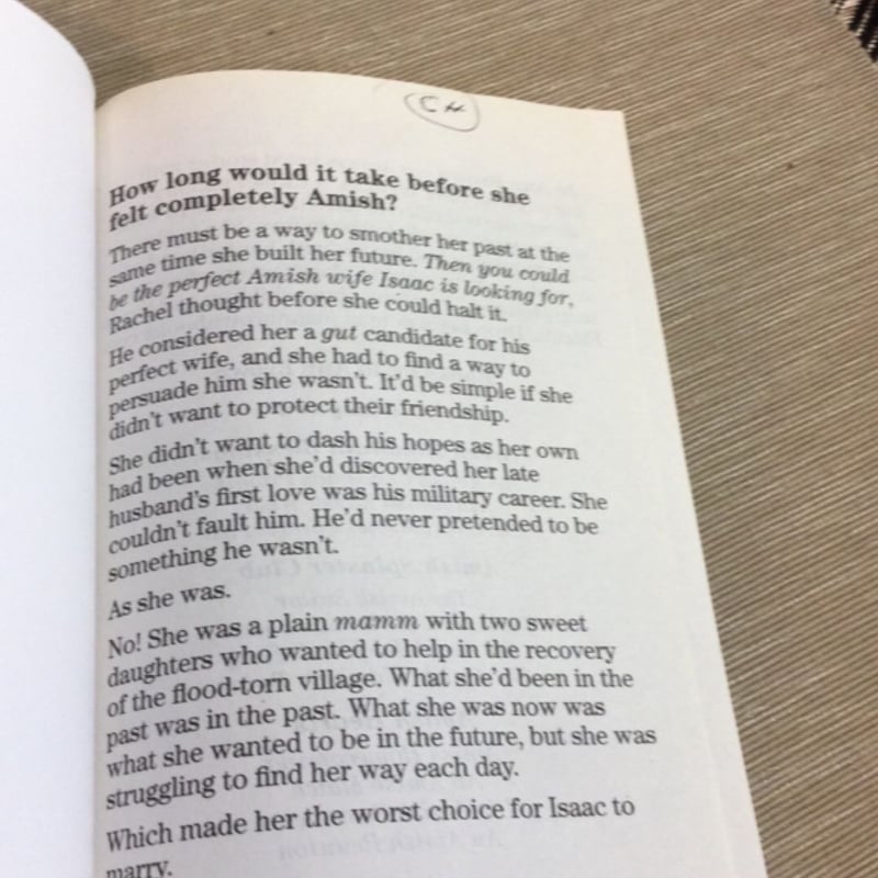 An Amish Mother's Secret Past