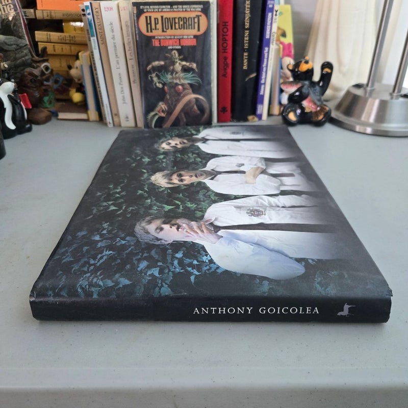 Anthony Goicolea Photography Art Book