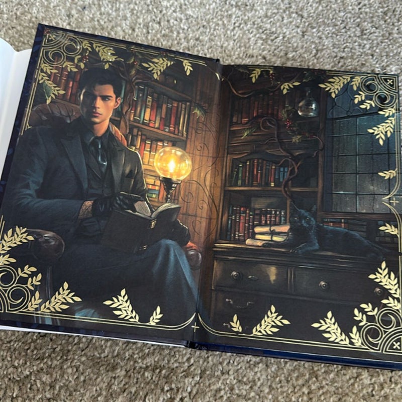 The Wren in the Holly Library *FAIRYLOOT*