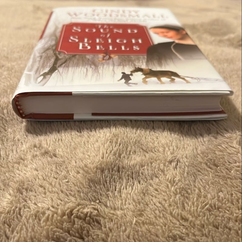 The Sound of Sleigh Bells