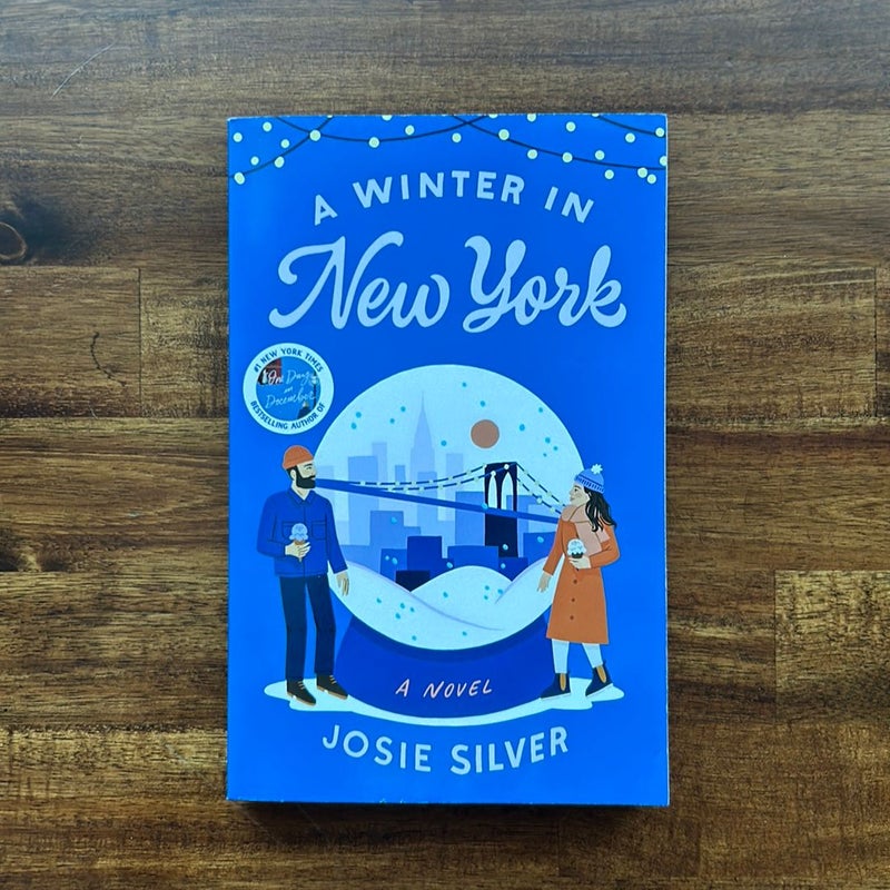 A Winter in New York