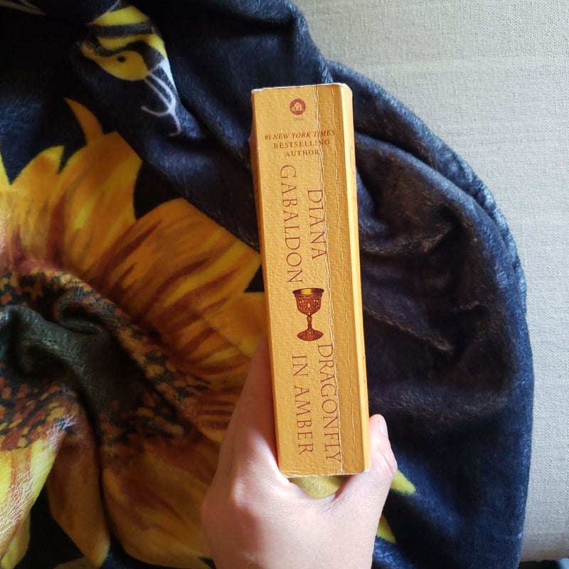 Dragonfly in Amber