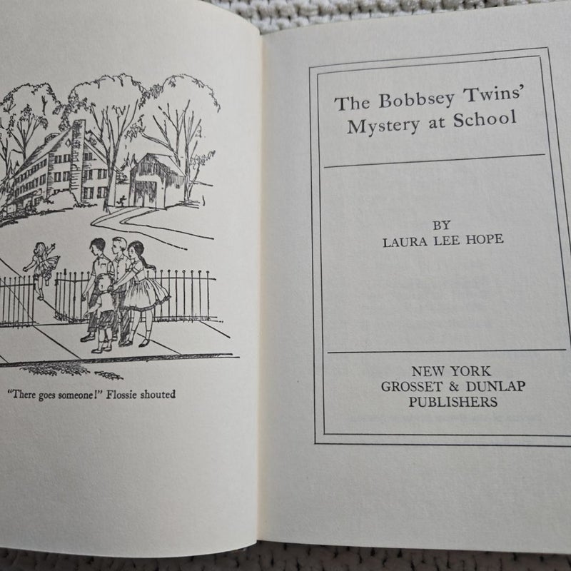 The Bobbsey Twins: The Mystery at School