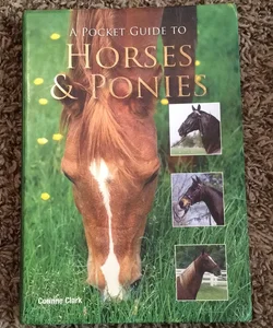Horses and ponies 