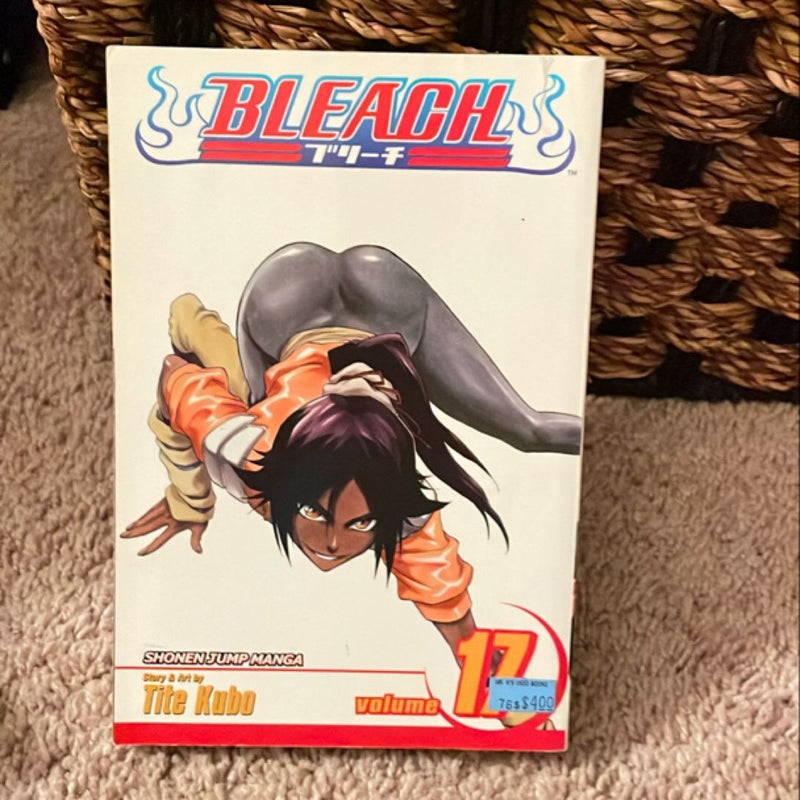 Bleach, Vol. 17