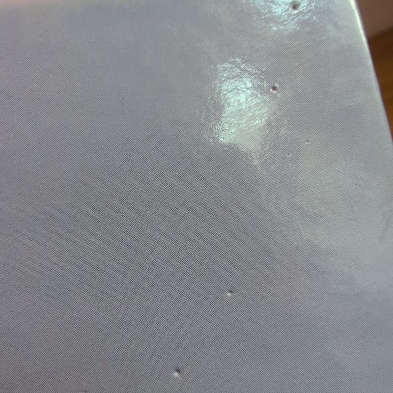 Berenstains' A Book (1997)