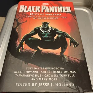 Black Panther Tales of Wakanda