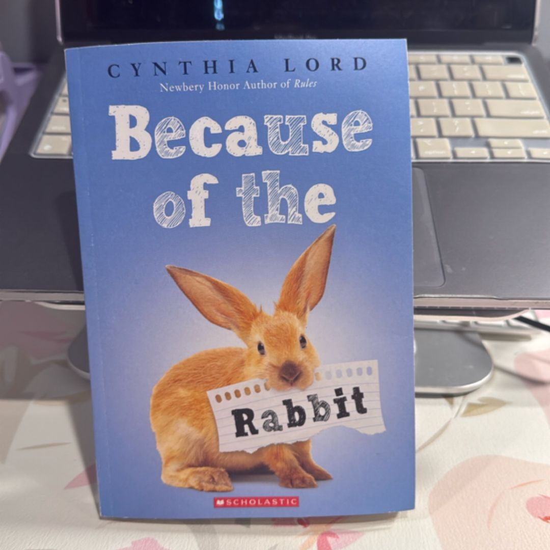 Because of the Rabbit