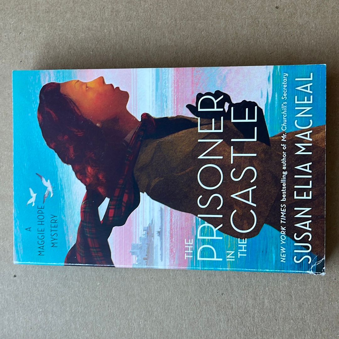 The Prisoner in the Castle