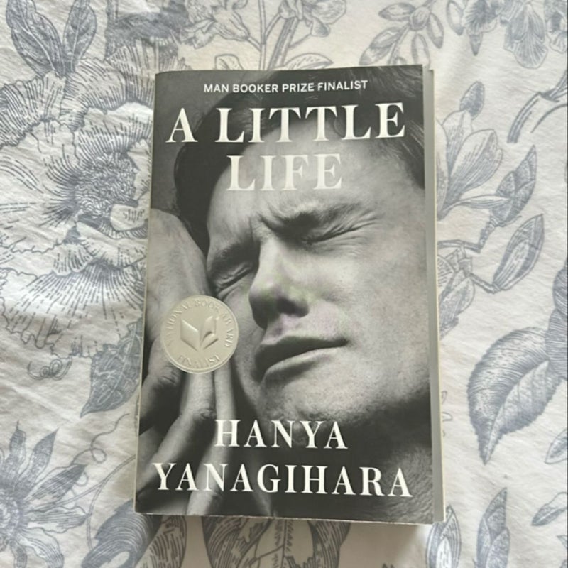 A Little Life