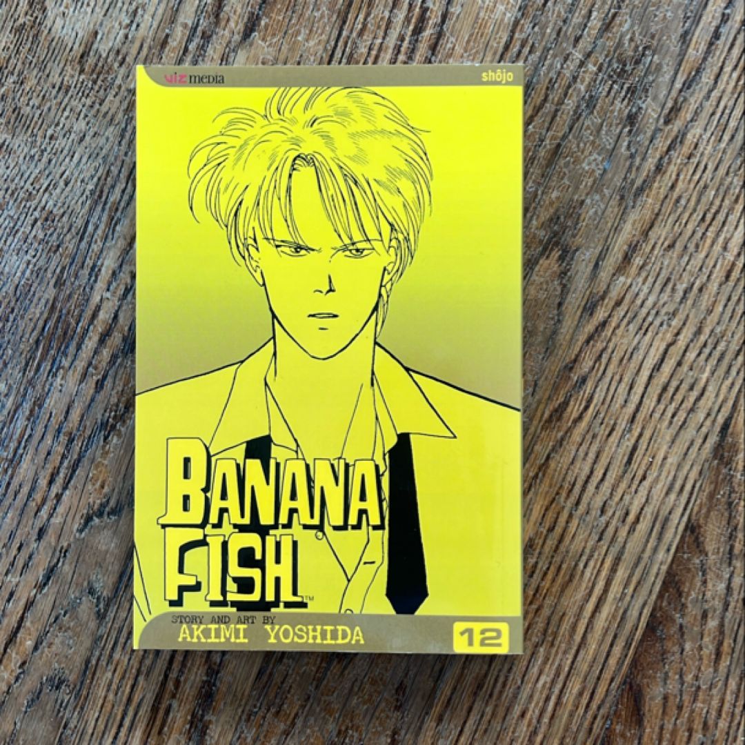 Banana Fish, Vol. 12
