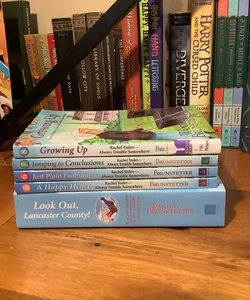 Look Out, Lancaster County! Books 1-8