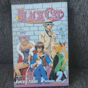 Black Cat, Vol. 2