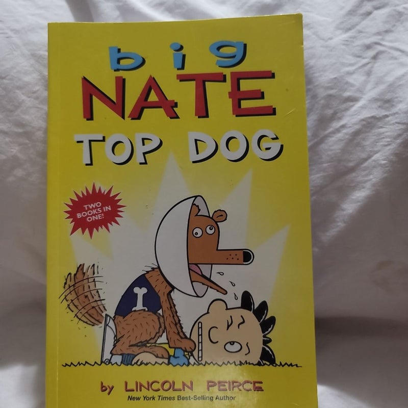 Big Nate: Top Dog