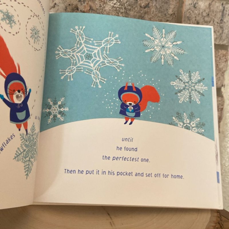 Snowflake in My Pocket