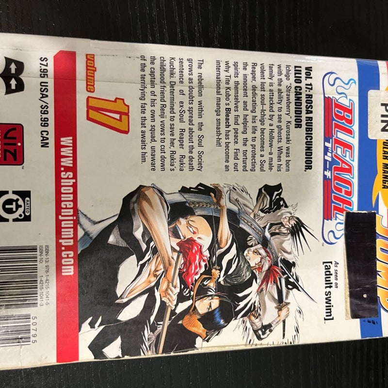 Bleach, Vol. 17