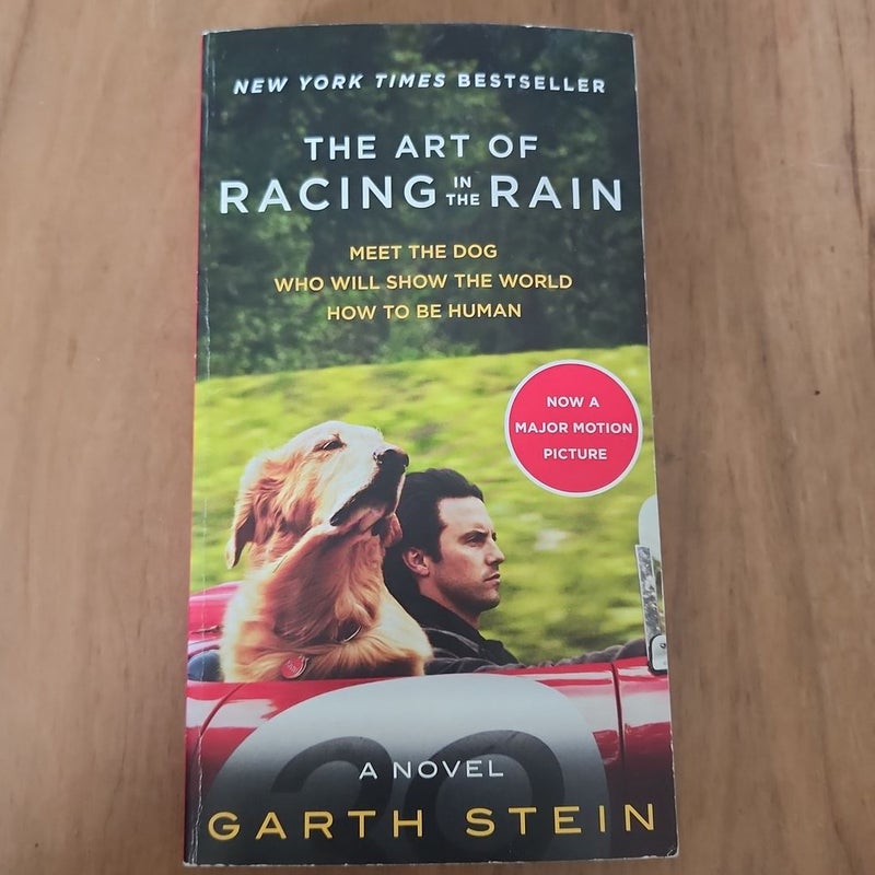 The Art of Racing in the Rain Movie Tie-In Edition