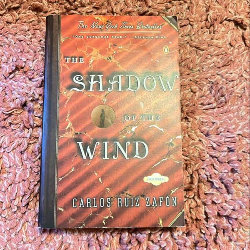 The Shadow of the Wind