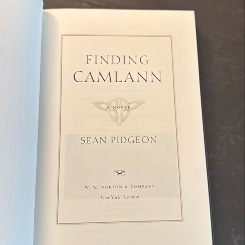 Finding Camlann