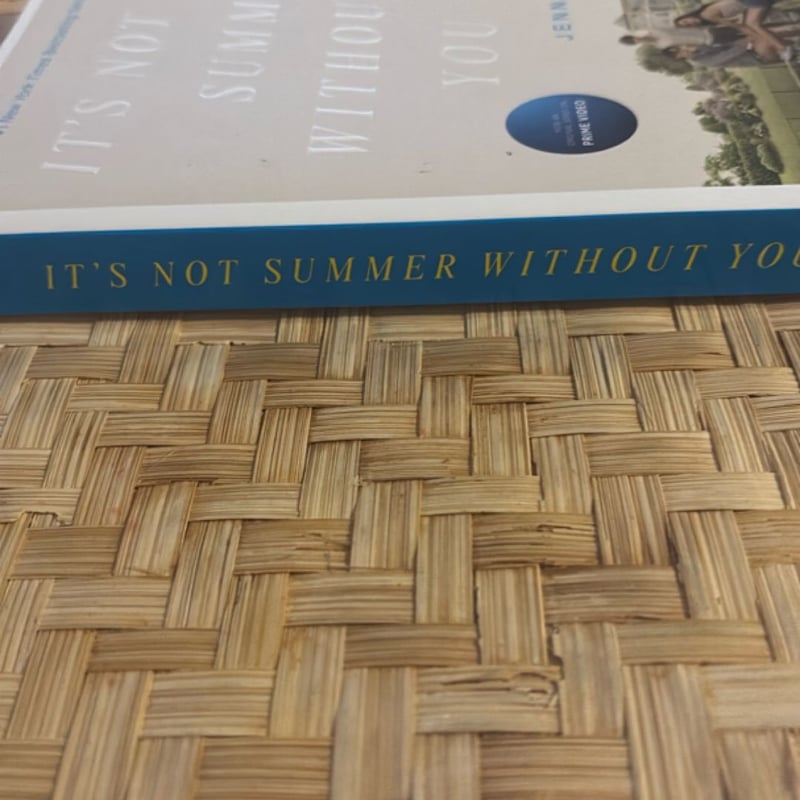 It's Not Summer Without You