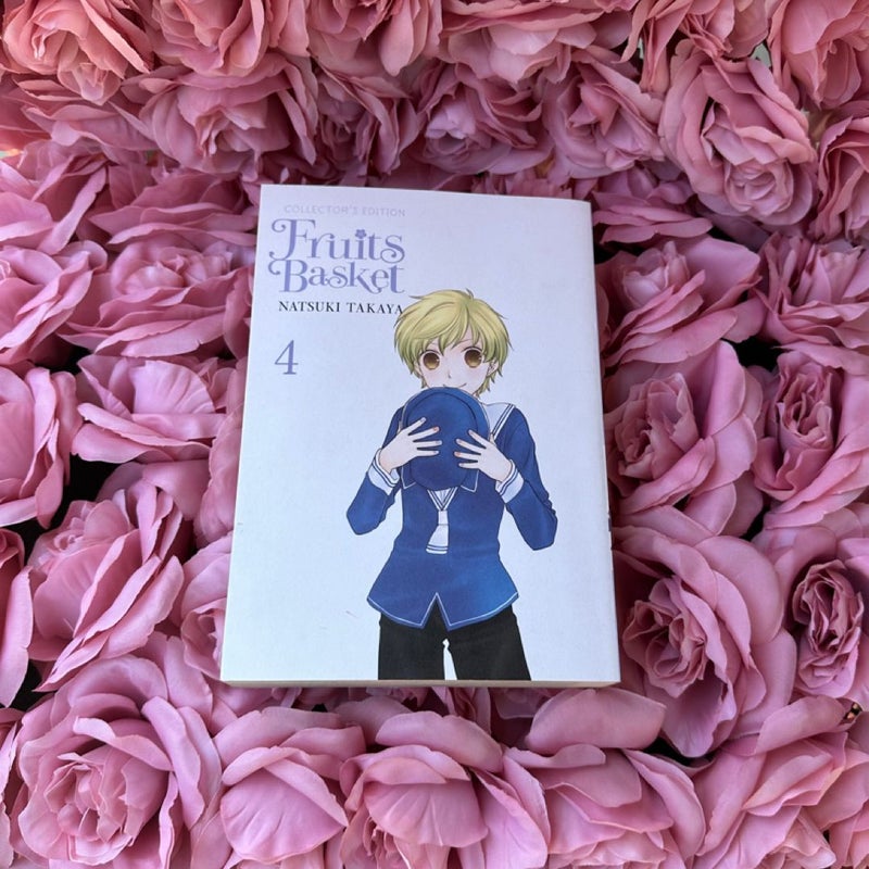 Fruits Basket Collector's Edition, Vol. 4