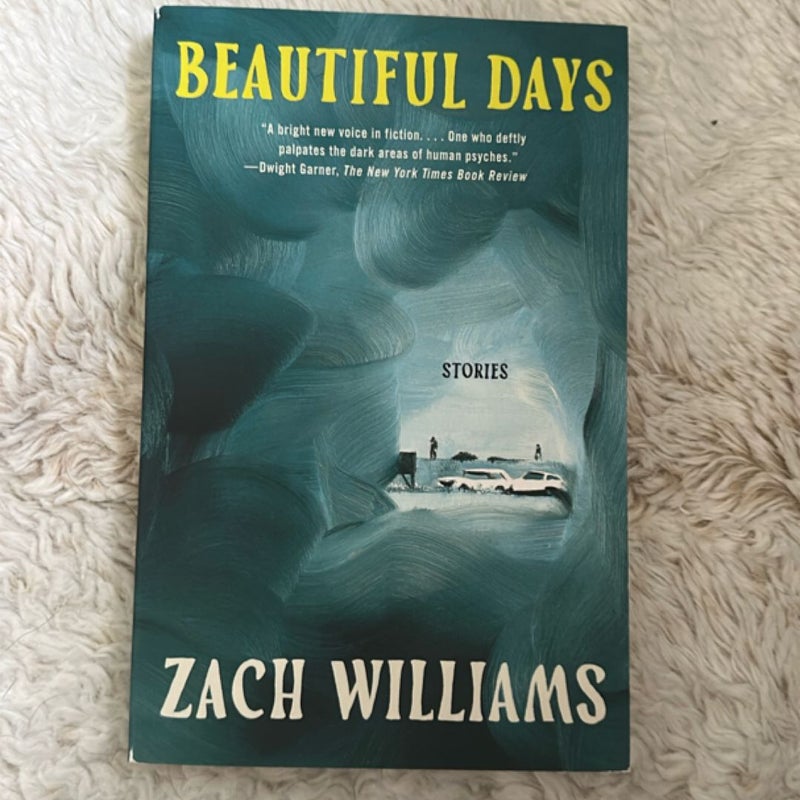 Beautiful Days