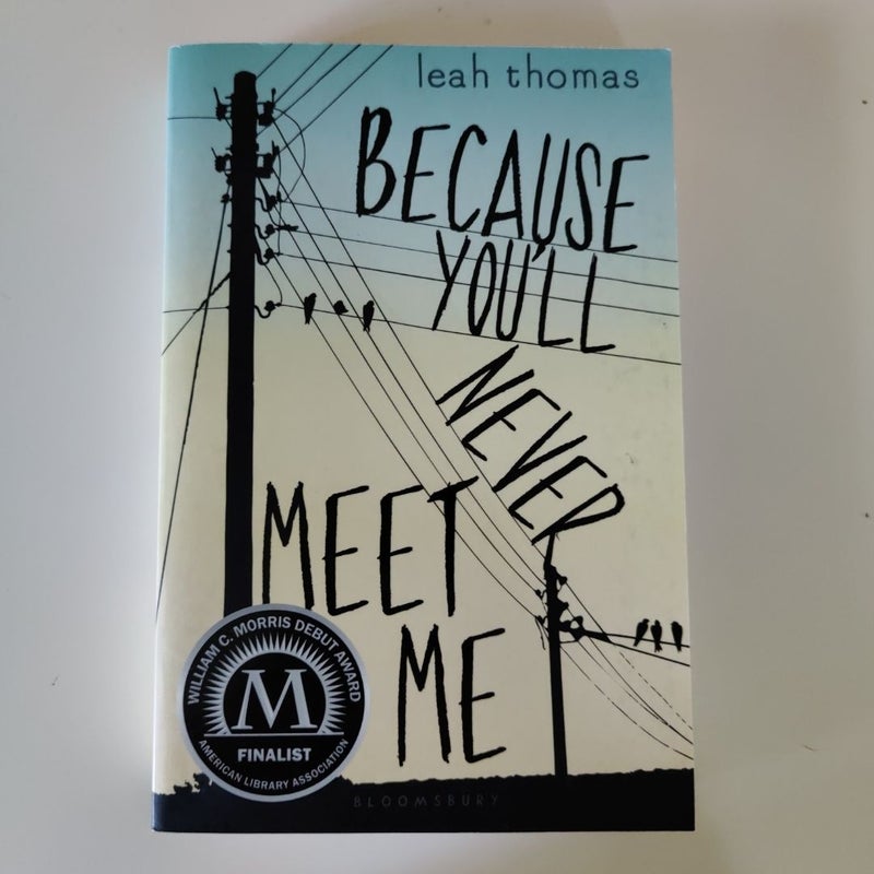 Because You'll Never Meet Me